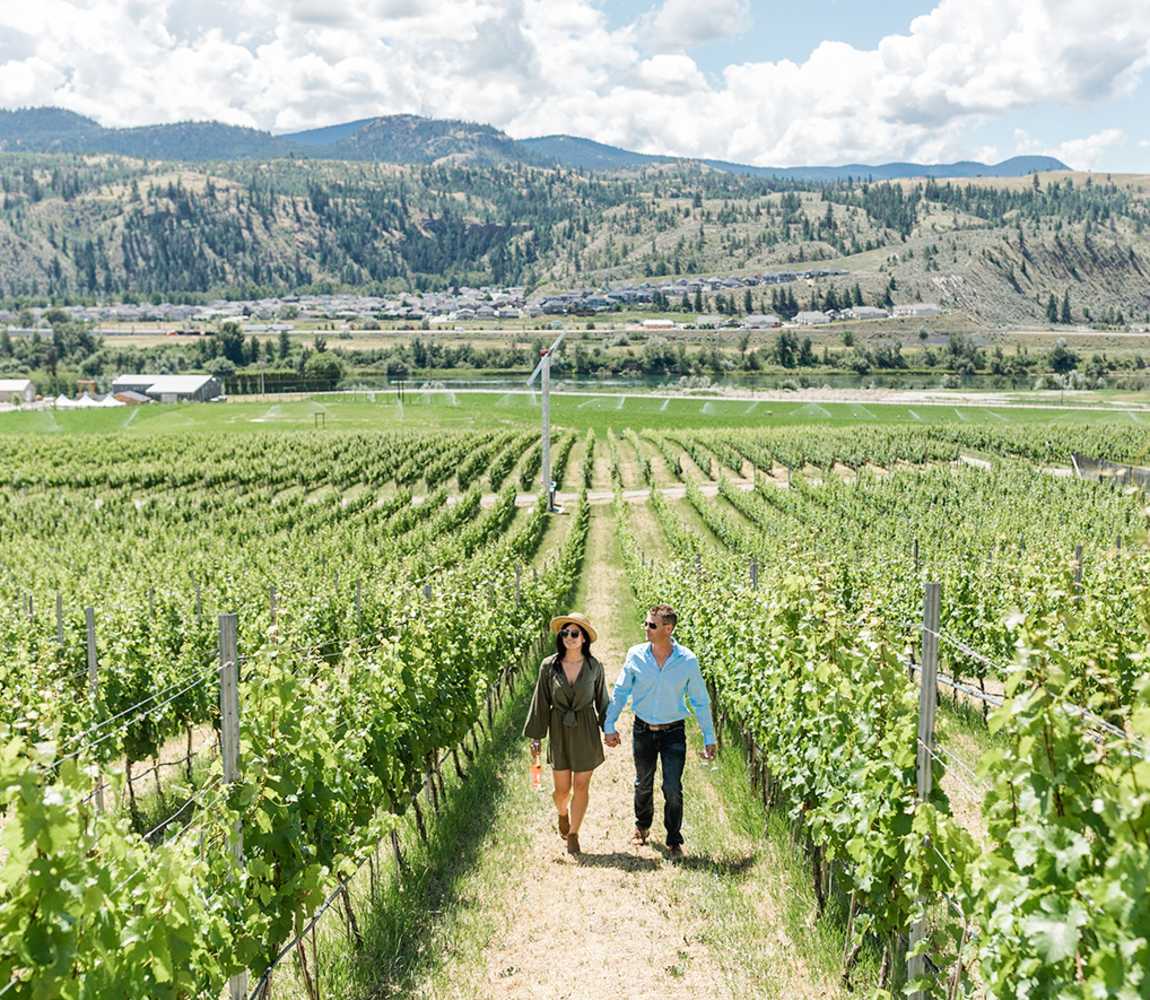 Harper's Trail Winery Vineyard