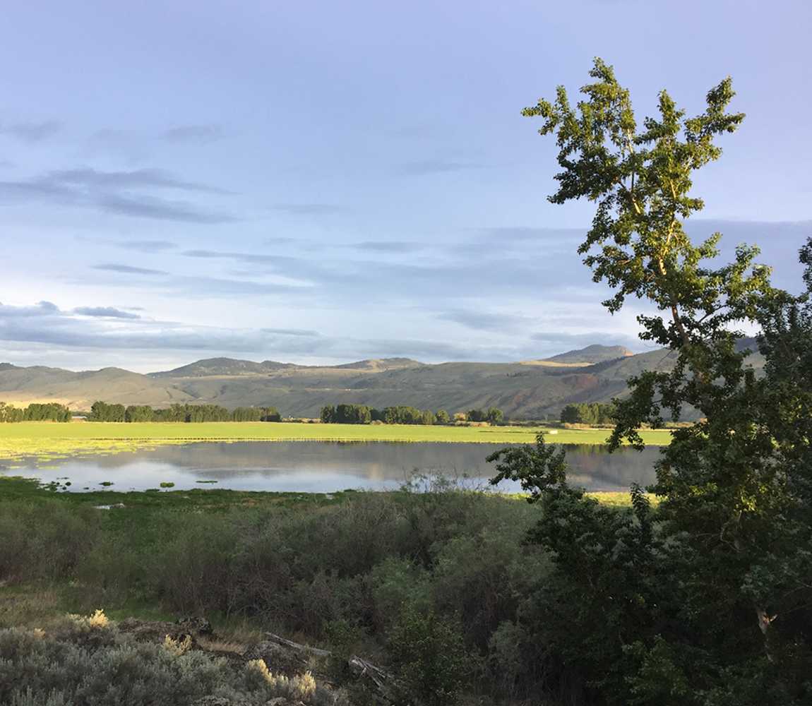 Walking along Tranquille Management Area in Kamloops, BC
