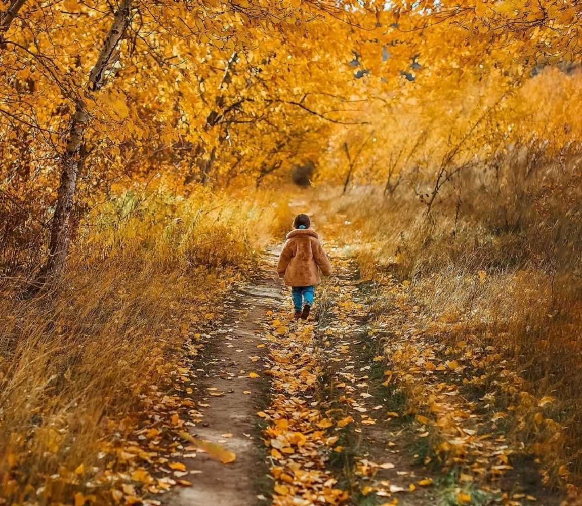 Fall hiking trail colors