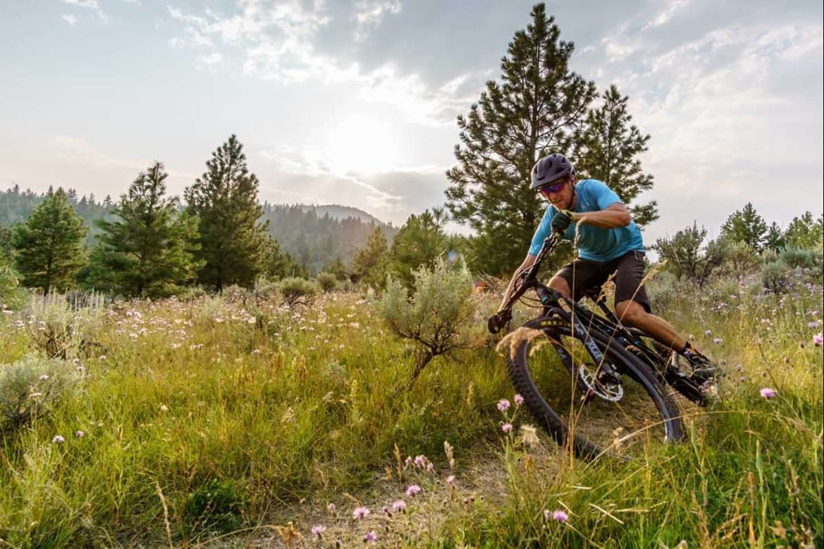 Biking - Pineview
