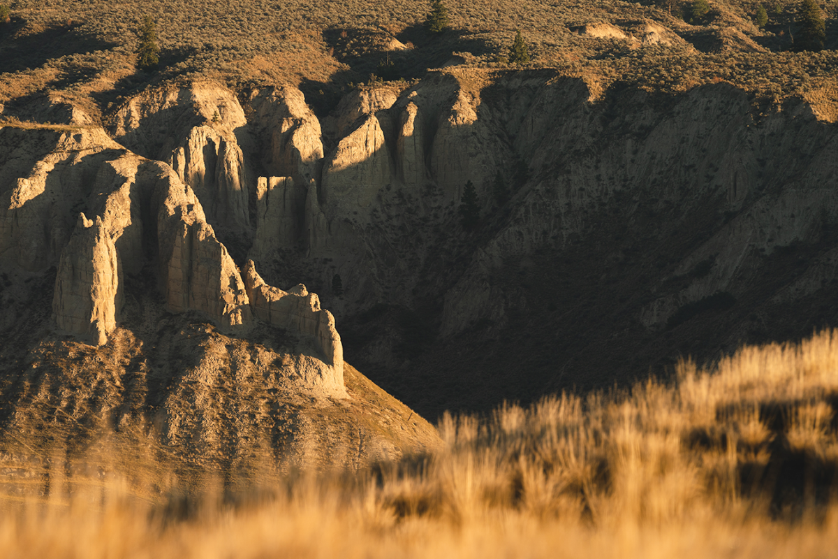 Golden Hoodoos in Kamloops