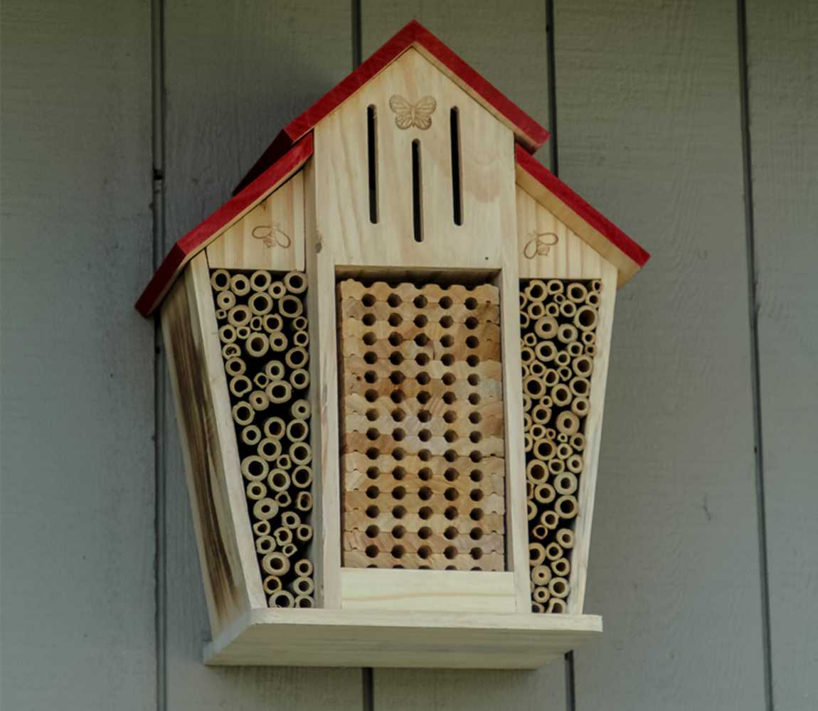 Bee Barn at Tourism Kamloops