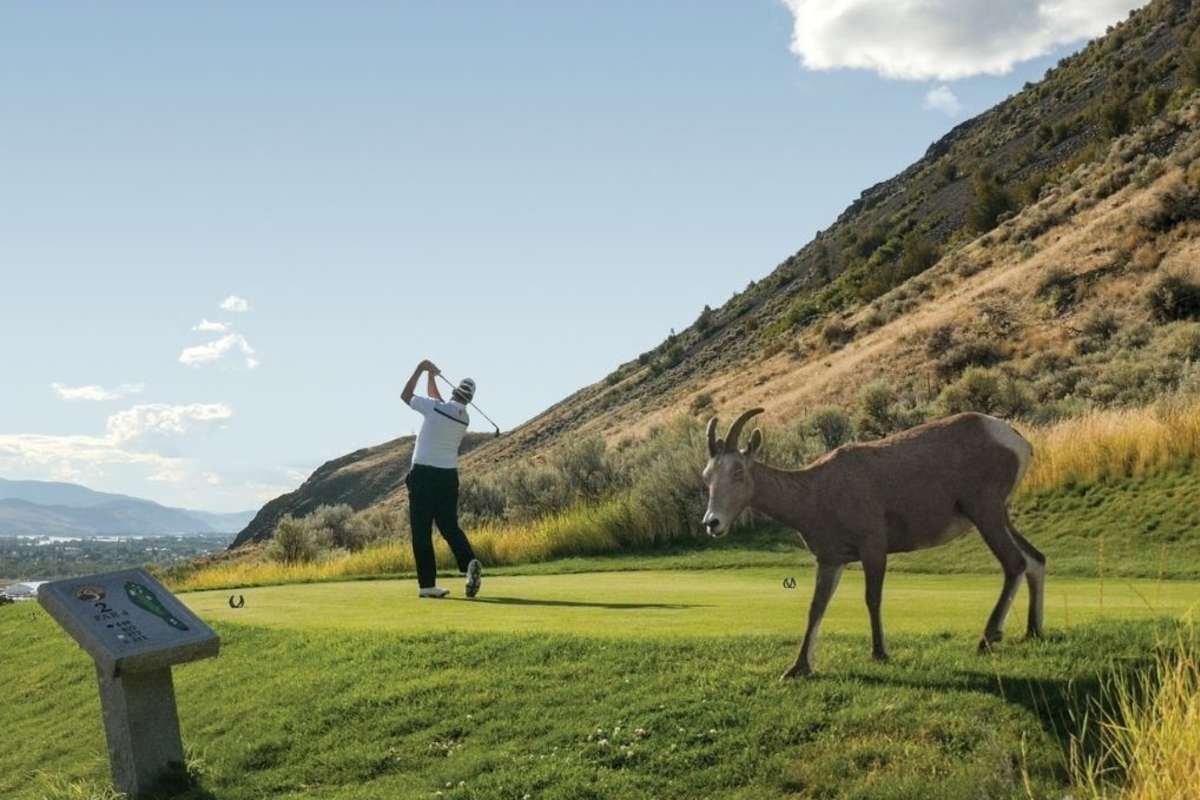 Big Horn Golf