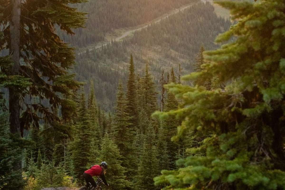 rider mountain biking at sun peaks resort bike park