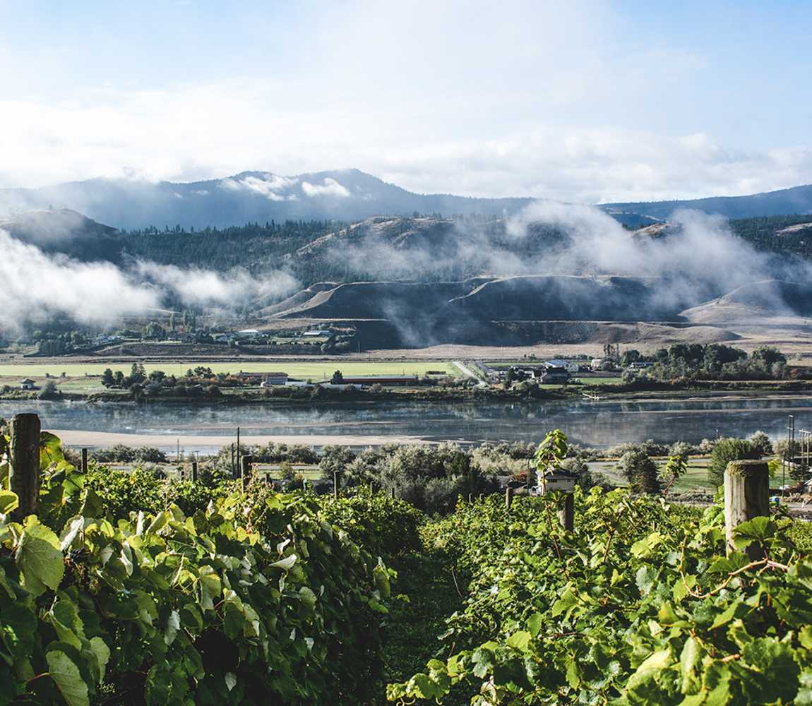 Sagewood Winery