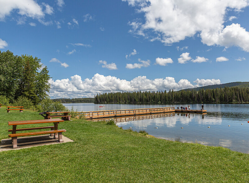 Green grassy area with picnic benches, a dock, and lakeside pines at Lac le Jeune Provincial Park.