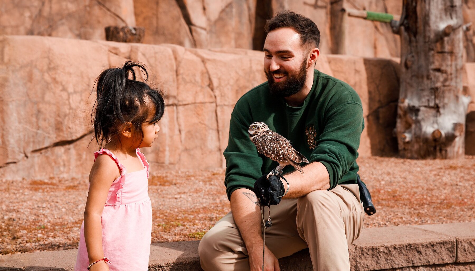 Little girl meeting a Burrowing Owl at the BC Widlife Park in Kamloops, British Columbia.