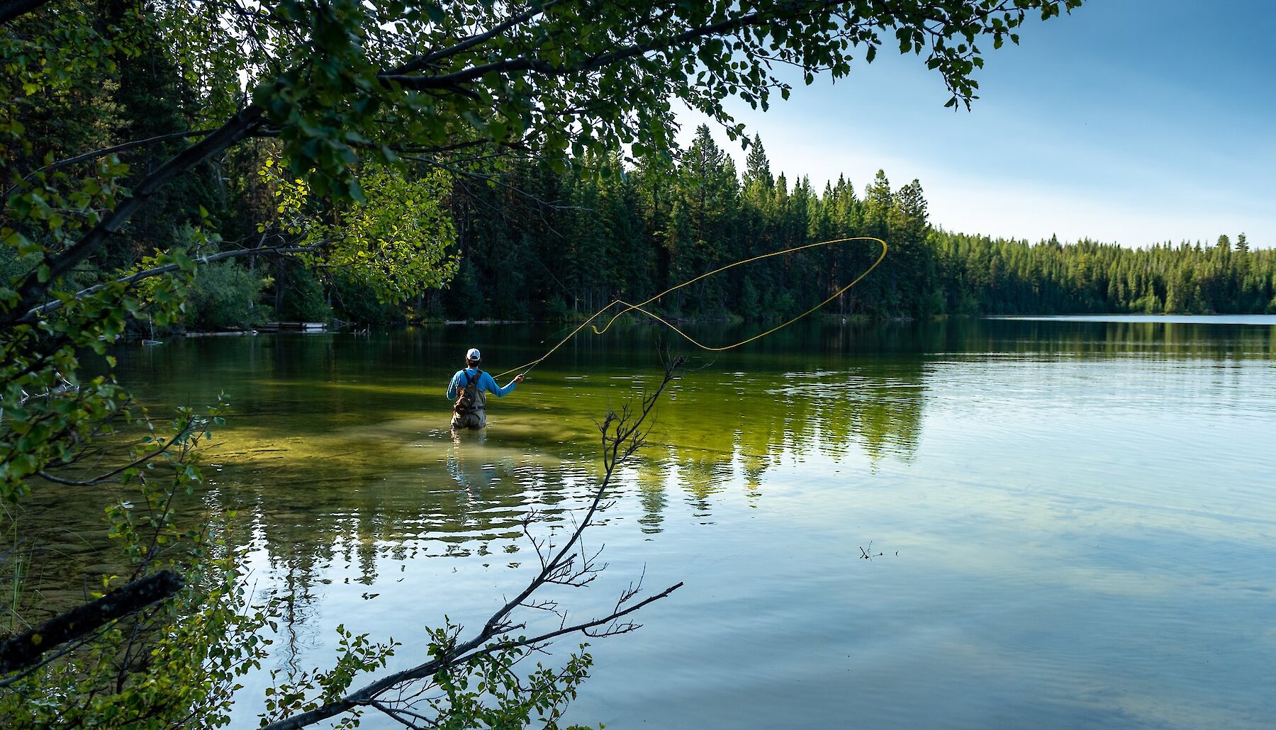 A fisherman casting a flying fishing line on a sunny day at McConnell Lake in Kamloops BC.