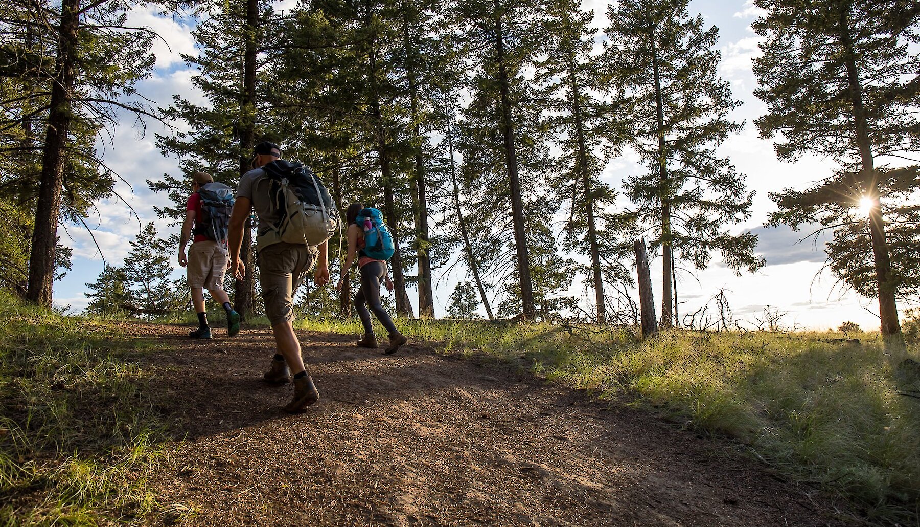 Group of hikers going up a trail in Kamloops, BC.