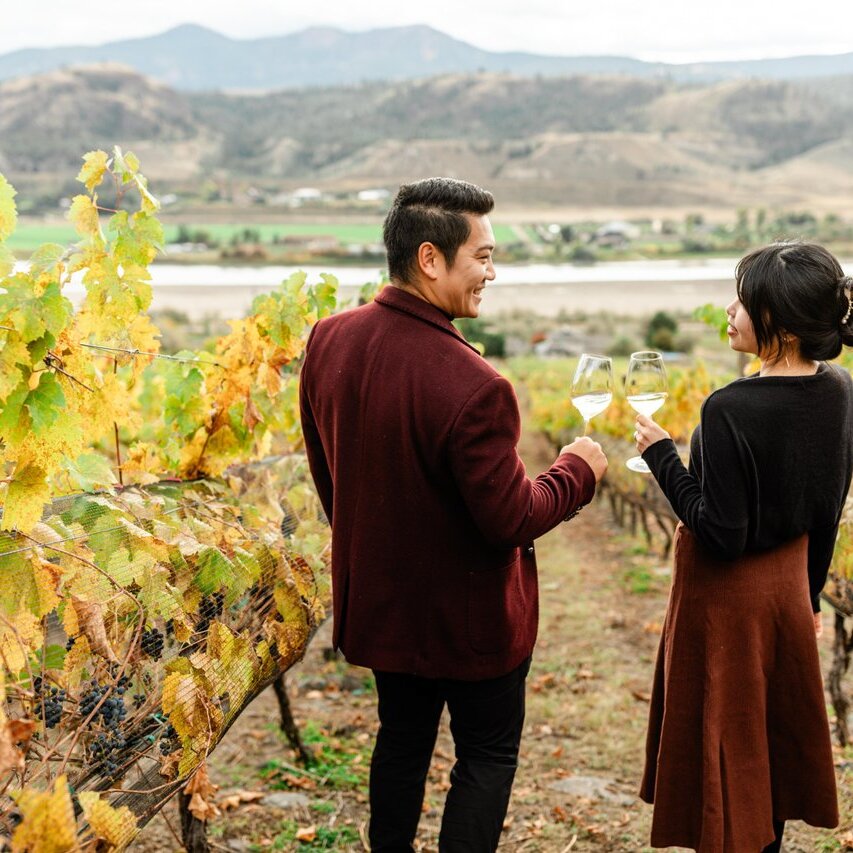 A couple toasting glasses of white wine among golden fall vines at Sagewood Winery, overlooking the Thompson River in Kamloops, BC.