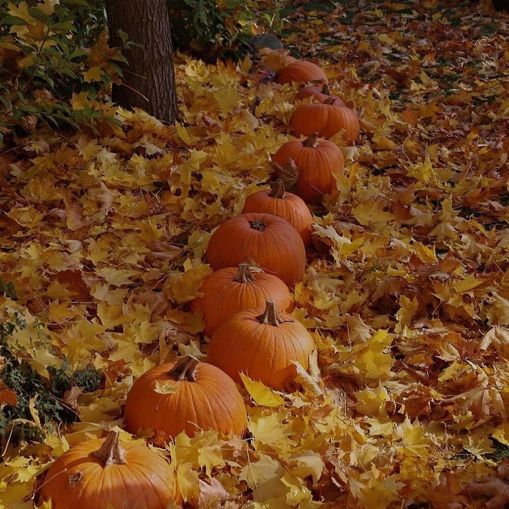 Axe Throwing at Cleavage Axe Co located at Sun Peaks Resort near Kamloops, British Columbia.