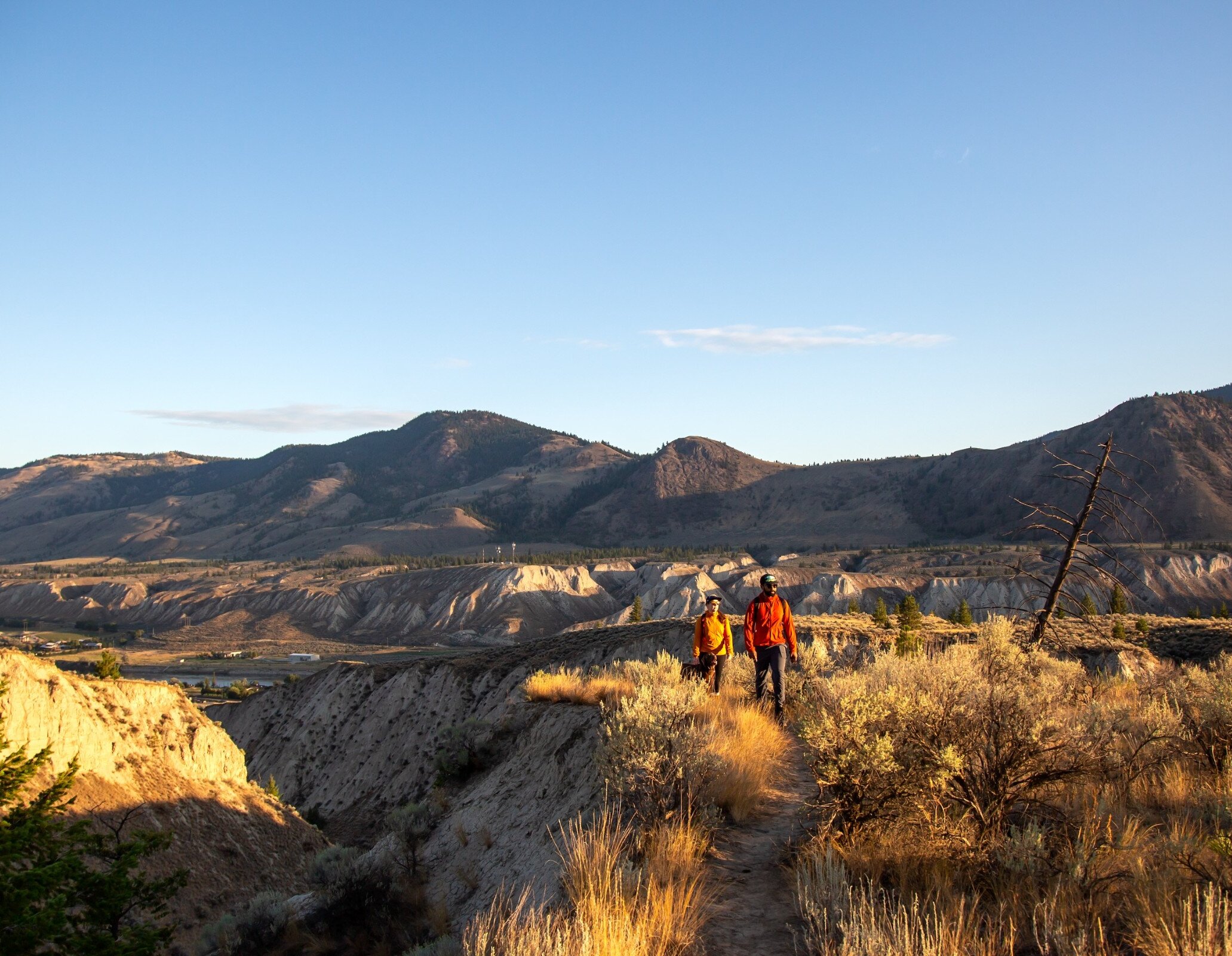 A couple with their dog hike along the golden grasslands with mountains in the background in Kamloops, BC.