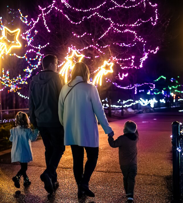 A family with young children walking through the Christmas lights a WildLights in the BC Wildlife Park.