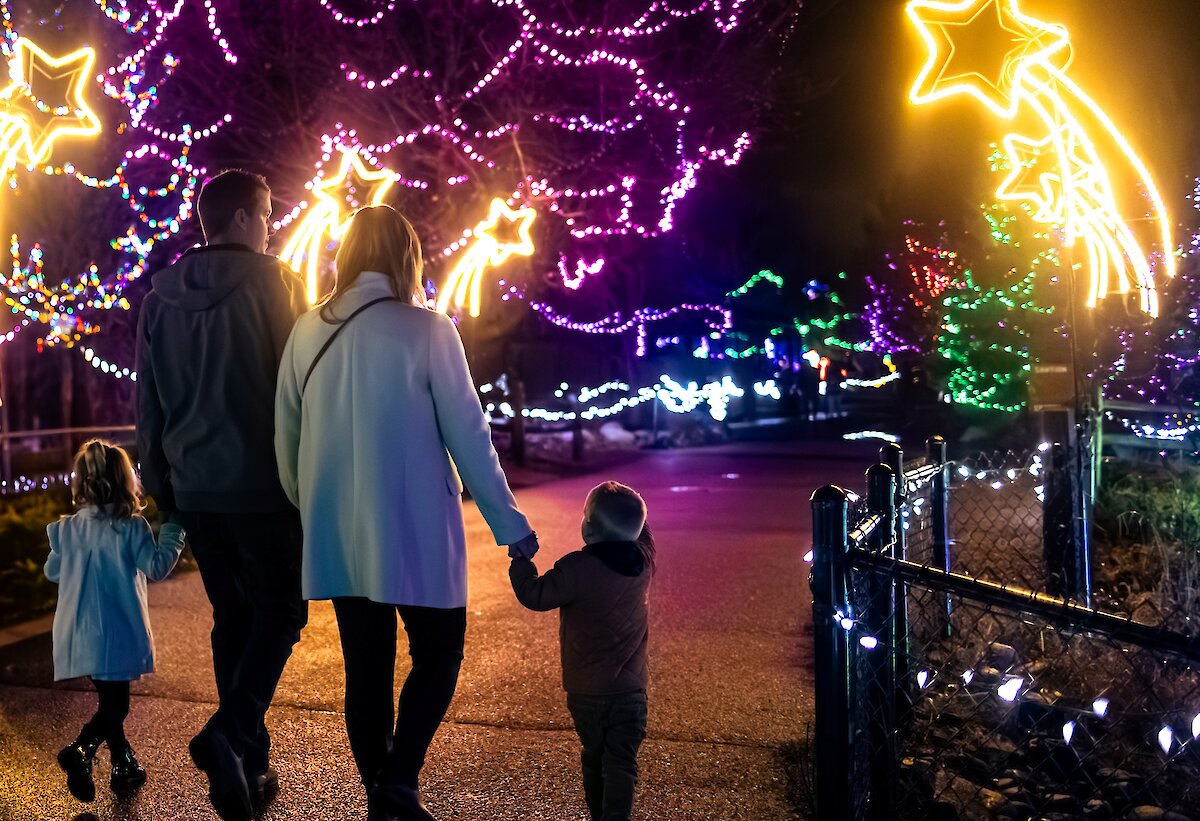 A family walking through the glowing Christmas light display at Wildlights at the BC Wildlife Park in Kamloops.