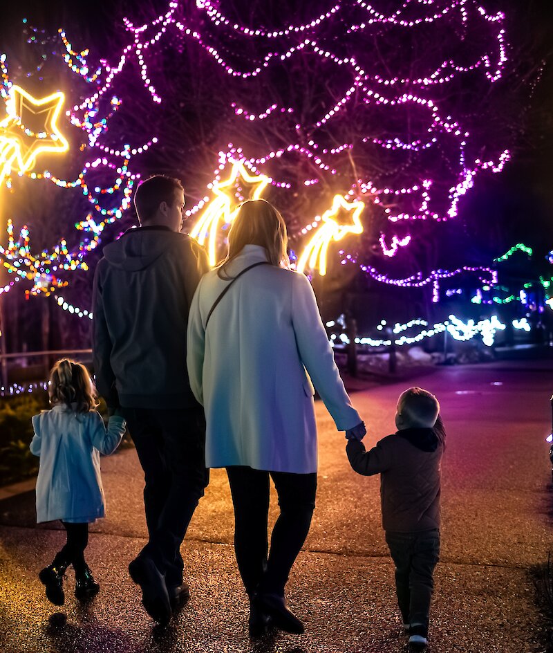 A family walking through the glowing Christmas light display at Wildlights at the BC Wildlife Park in Kamloops.