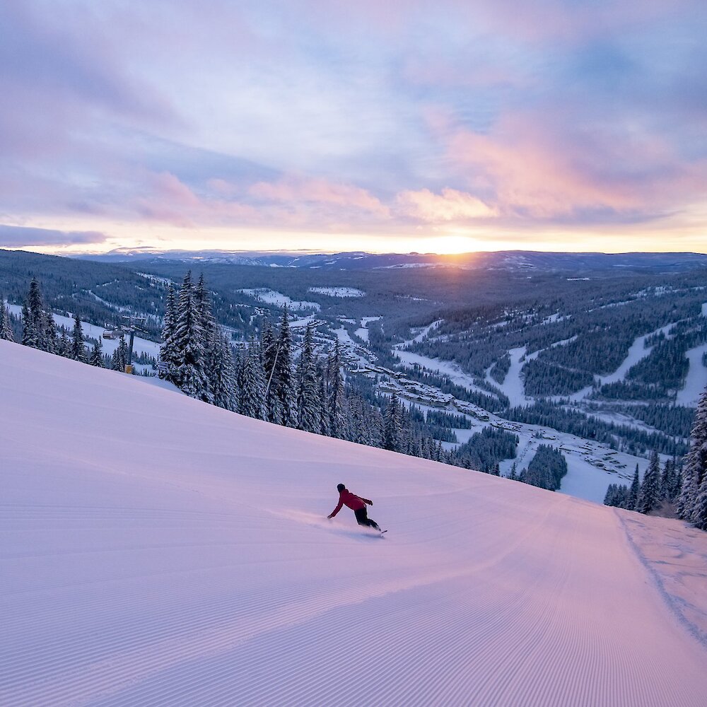 A snowboarder carves down a freshly groomed run at Sun Peaks in British Columbia. The sun is rising in the distance, casting the scene in a golden and purple light.