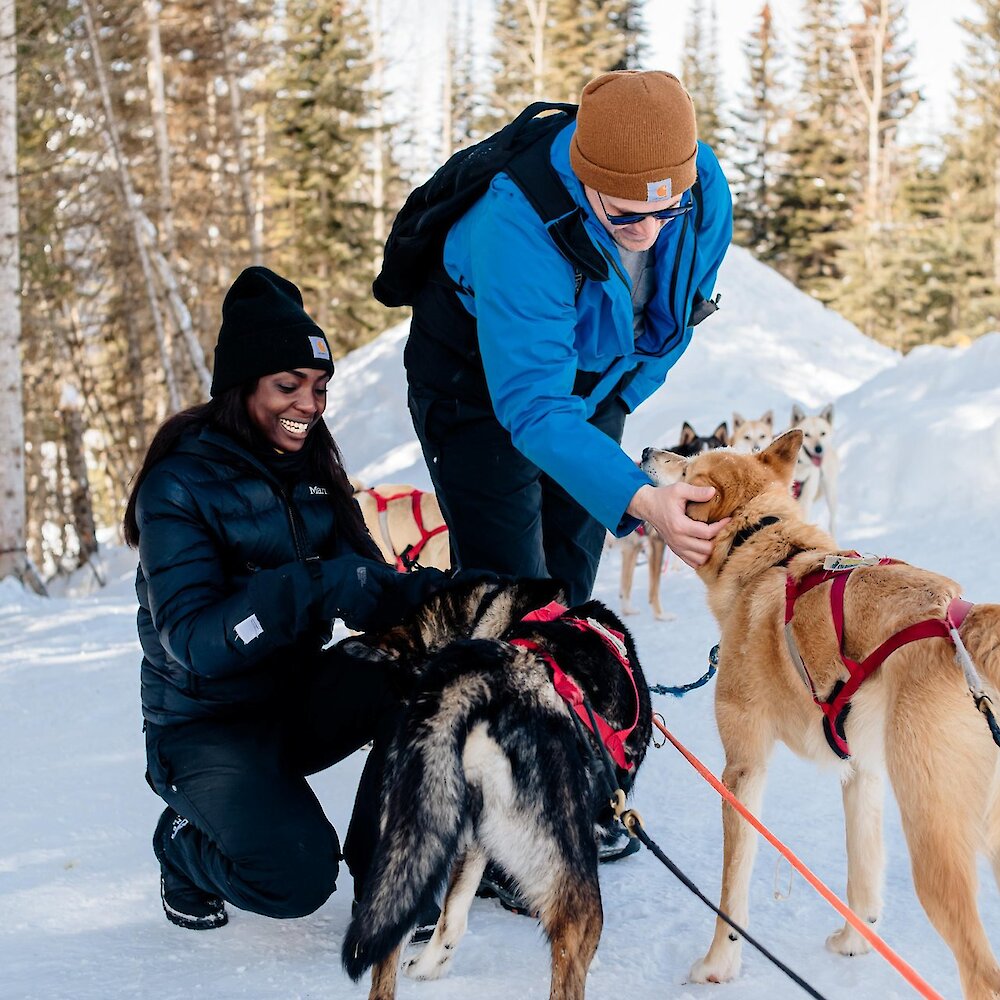 A young couple pet two sled dogs at Sun Peaks, BC.