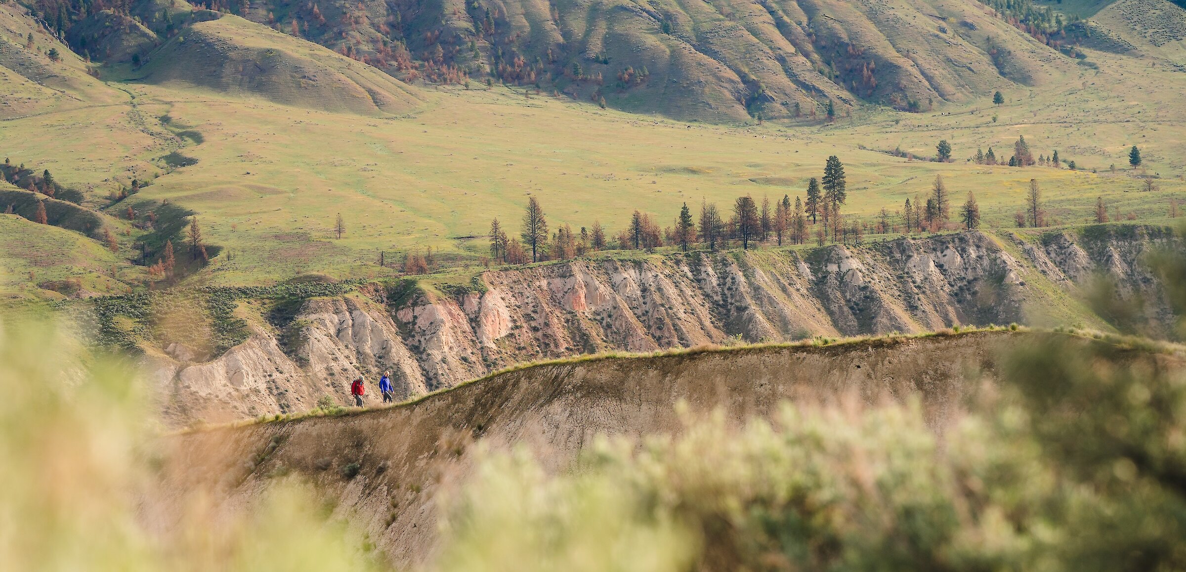 Two hikers walking along the ridge in Valleyview Nature Park with the silt bluffs in the background.