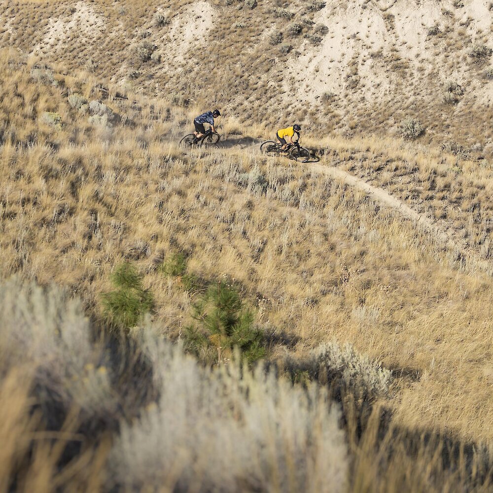 Two people ride mountain bikes through the grasslands near Kamloops BC