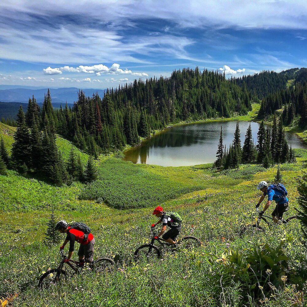 A group rides mountain bikes through the alpine meadows at Sun Peaks BC