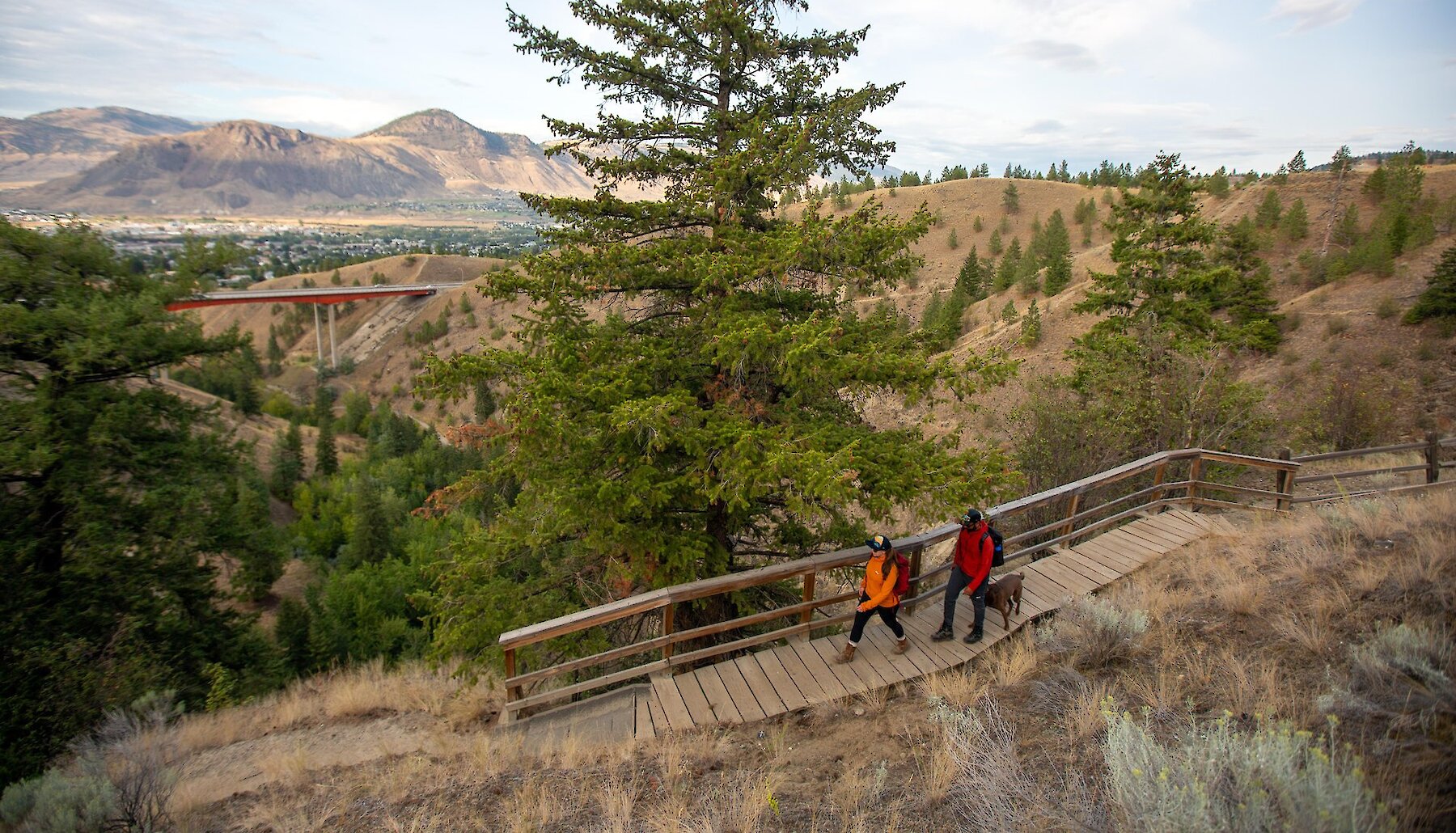 Two hikers and a dog pass over a wooden bridge along the side of a ravine near Kamloops BC. The city is visible in the distance.