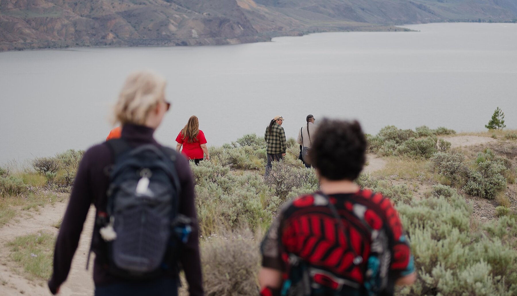 A group of hikers follow their guide through a sagebrush hill overlooking Kamloops Lake in BC.