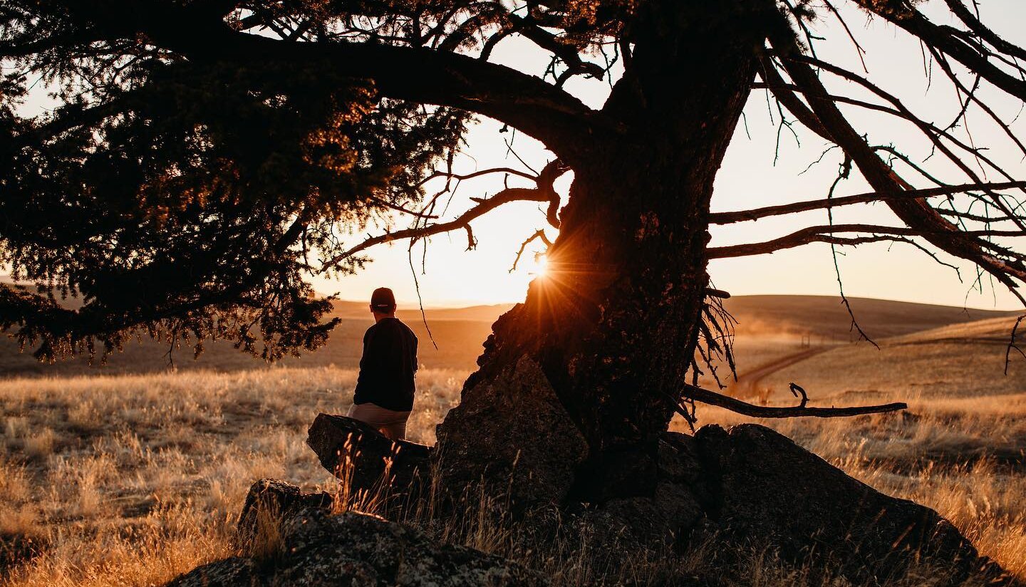 A hiker rests by a large tree, looking over the grasslands towards the sunset in the hills near Kamloops BC