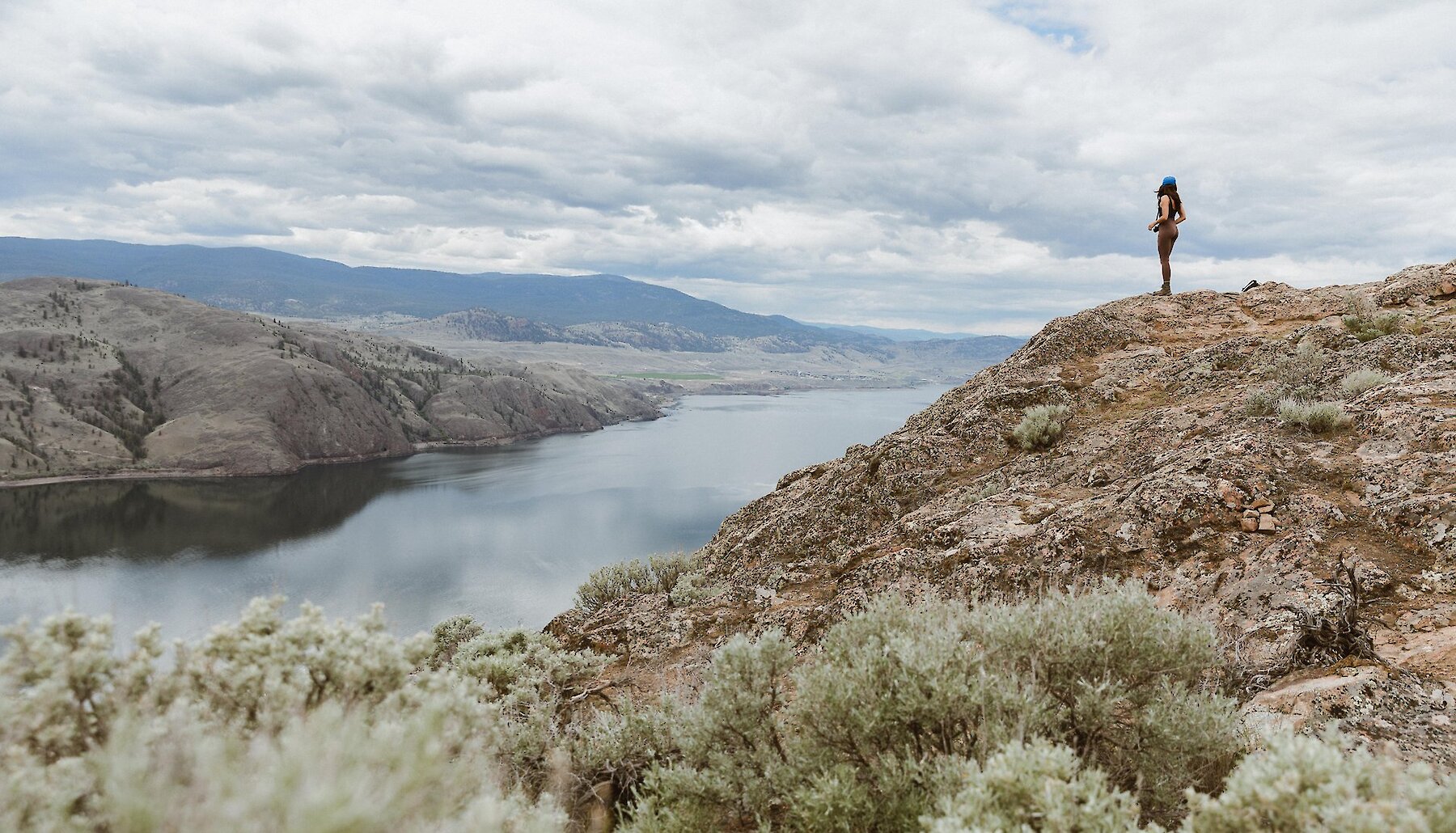 A mountain goat looking out over the view of Kamloops Lake from Battle Bluff.