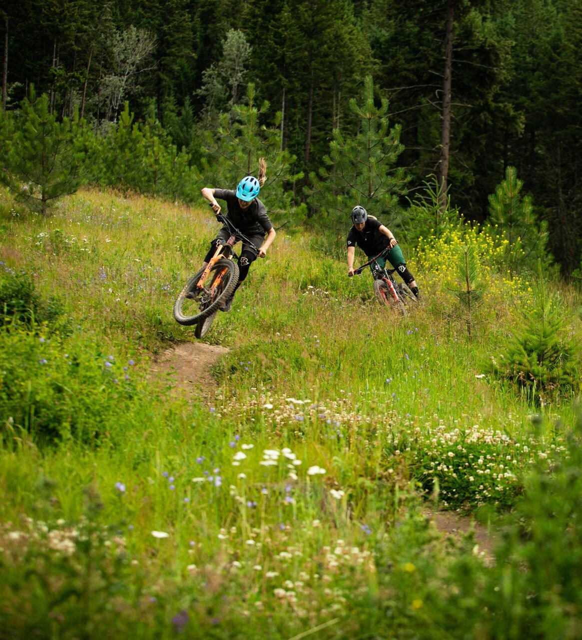 Two mountain bikers explore the trails near Kamloops.