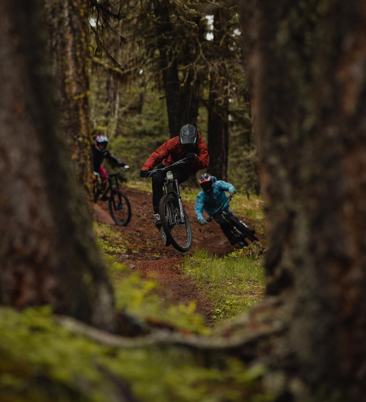 Three mountain bikers riding through a forested bike trail at Harper Mountain, near Kamloops, BC.