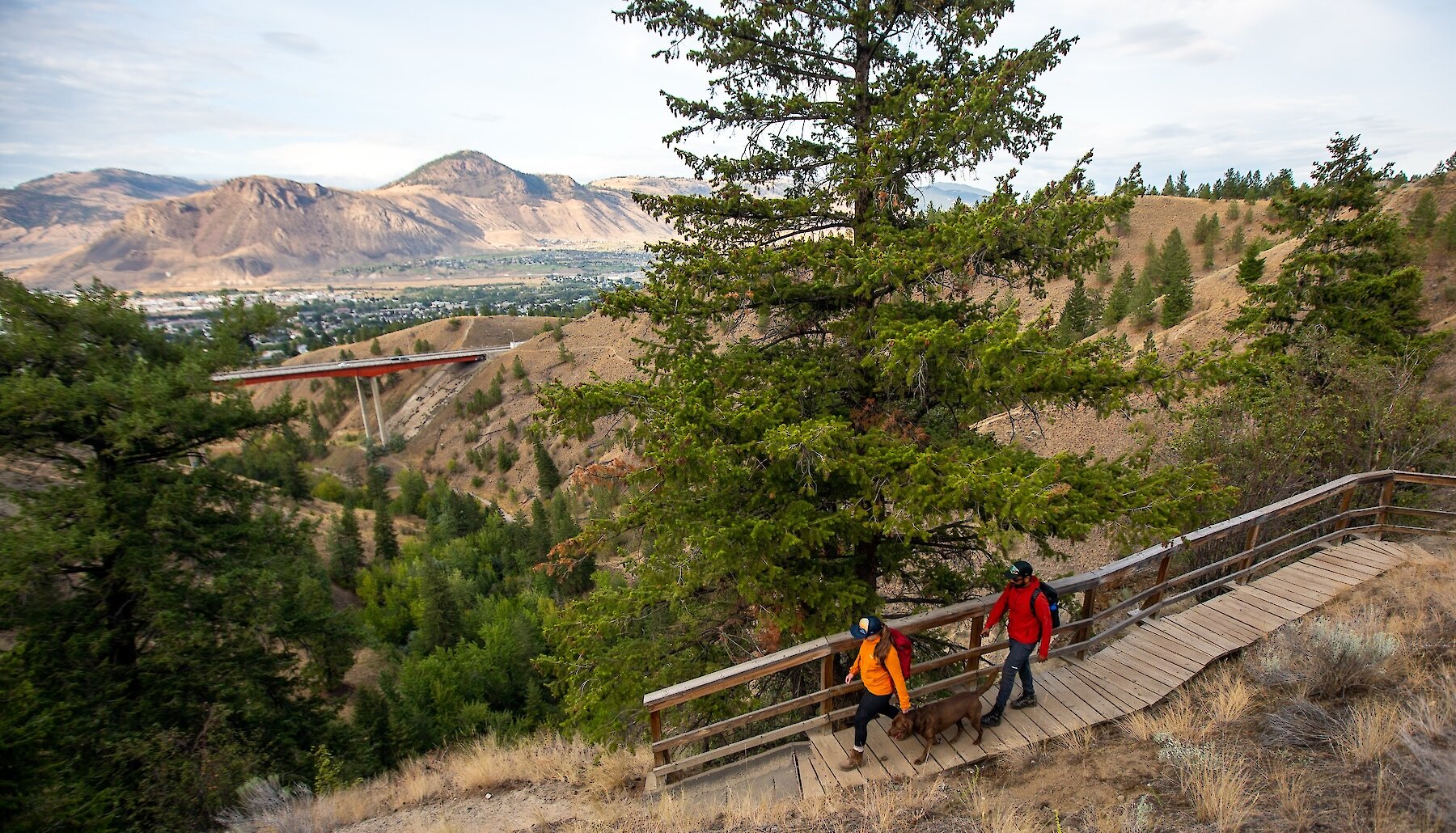 Two hikers with their dog walking along a wooden walkway in Peterson Creek Nature Park with a view of Kamloops in the background.