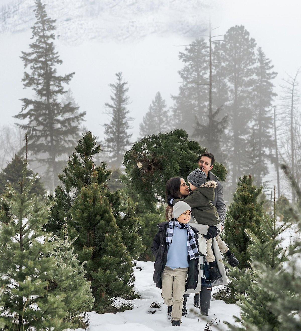 A family carrying their Christmas Tree from the u-cut trees at Privato & Woodward Christmas Trees in Kamloops, BC.